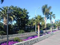 teneriffa_februar_2007_004