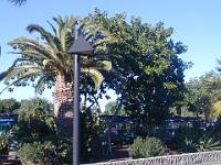 teneriffa_februar_2007_005