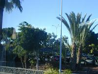 teneriffa_februar_2007_007