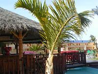 teneriffa_februar_2007_027