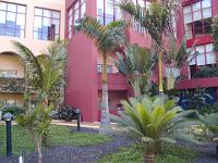 teneriffa_februar_2007_042