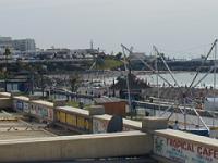 teneriffa_februar_2007_066