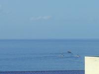 teneriffa_februar_2007_106