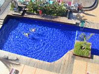 teneriffa_februar_2007_109