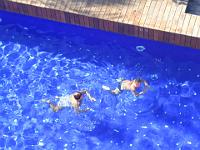 teneriffa_februar_2007_111