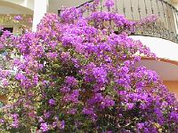 gran_canaria_02_2008_085