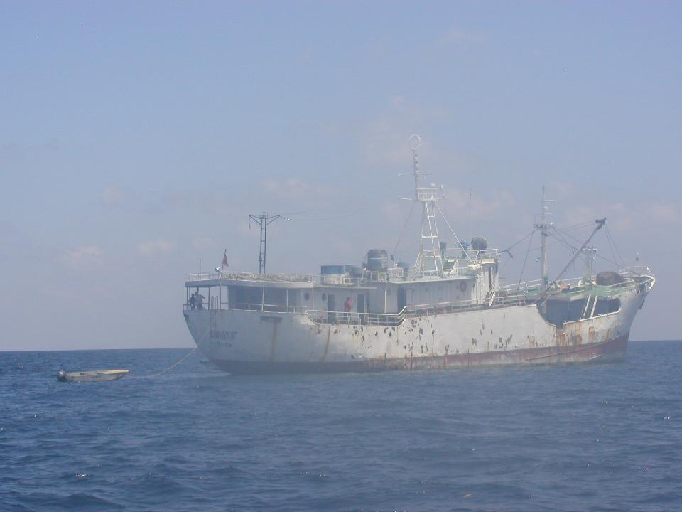 malediven_2008_148.jpg - Seelenverk�ufer