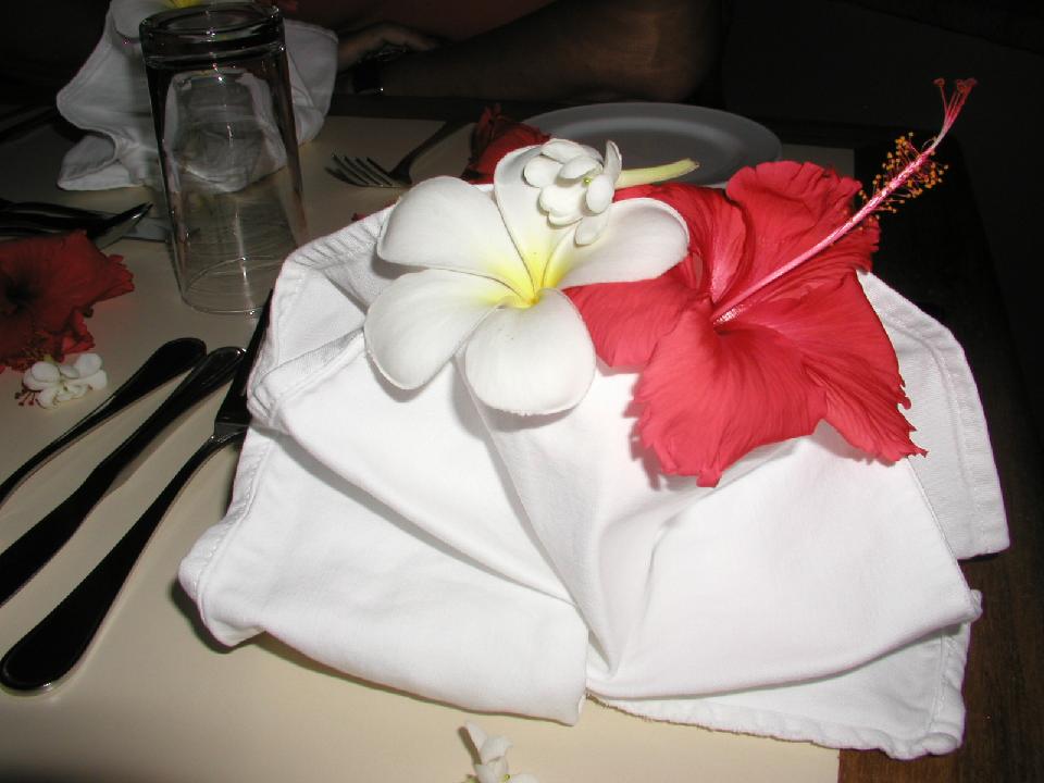 malediven_2008_542.jpg - Unser letzter Abend