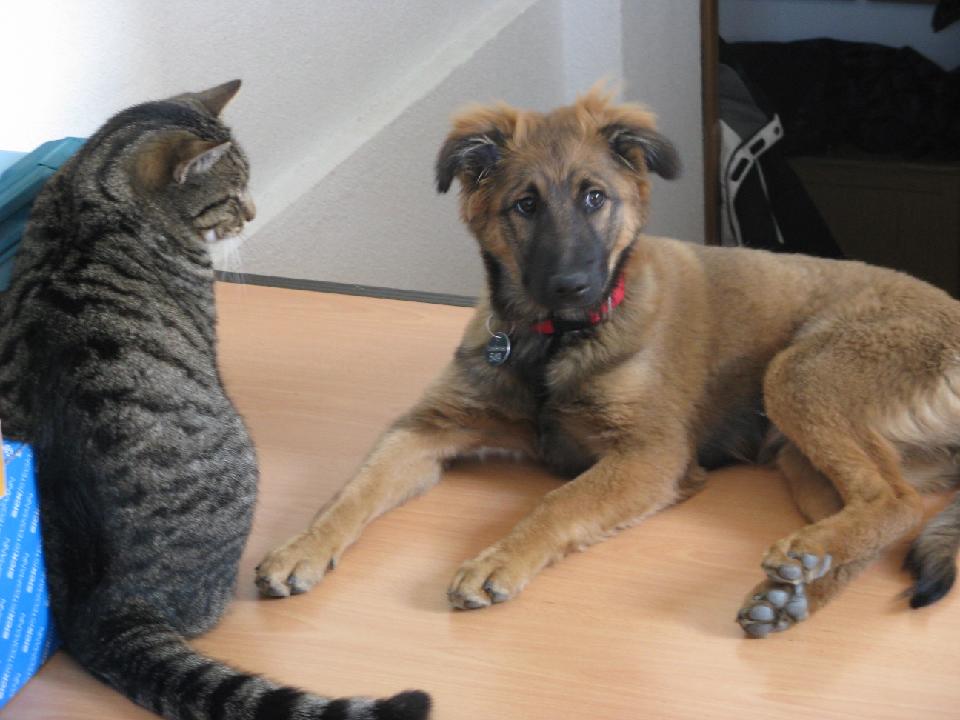 2009_04_06_bella_002.jpg - Mit meiner Freundin...